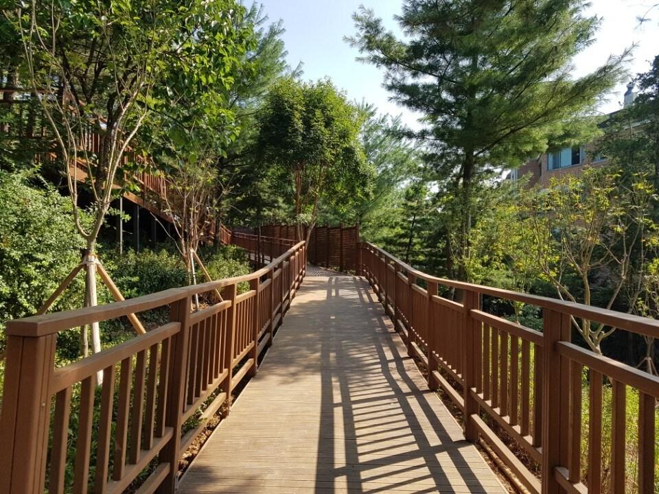 본문 이미지 - 천마공원 치유숲 데크로드(송파구 제공).ⓒ News1