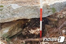 본문 이미지 - 10일 강원 정선군 임계면 송계리에서 신라시대에 조성된 것으로 추정되는 고분군 152기가 출토됐다. 2019.1.10/뉴스1 ⓒ News1 박하림 기자