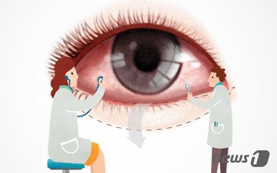 본문 이미지 - ⓒ News1 DB