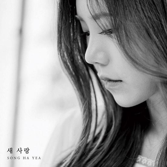 본문 이미지 - 더하기미디어 ⓒ 뉴스1