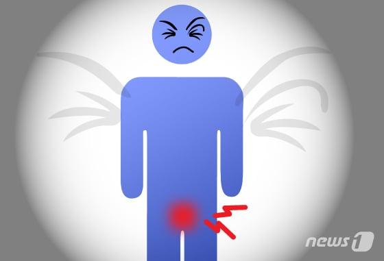 본문 이미지 - ⓒ News1 DB