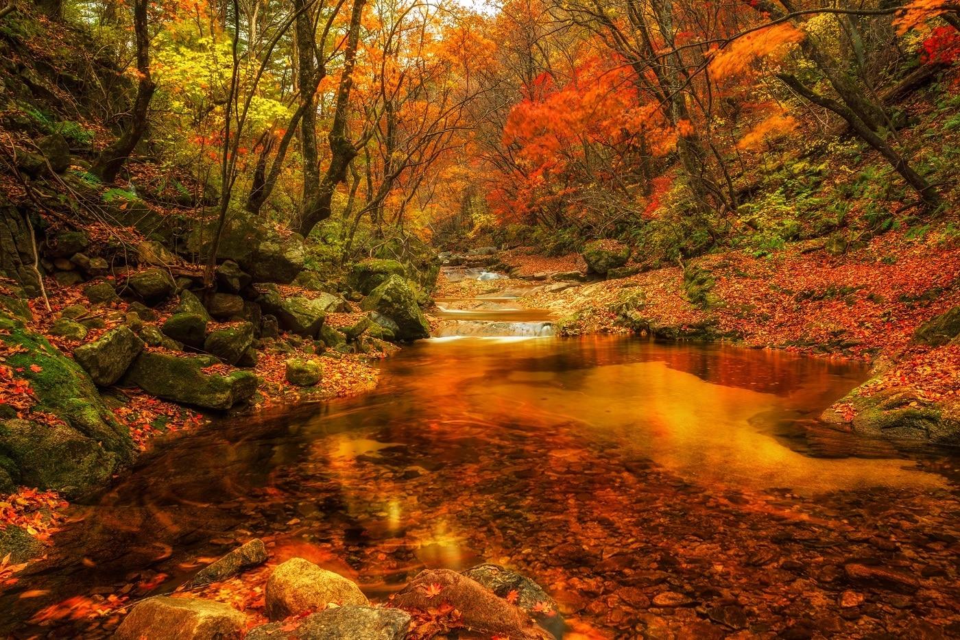 단풍으로 붉게 물든 설악산. 이하 아고다 제공