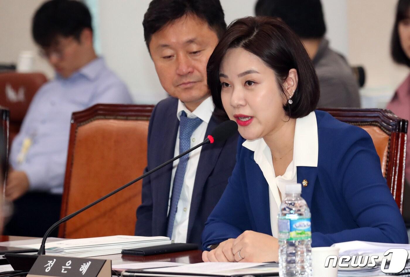 정은혜 더불어민주당 의원 ⓒ News1 김명섭 기자