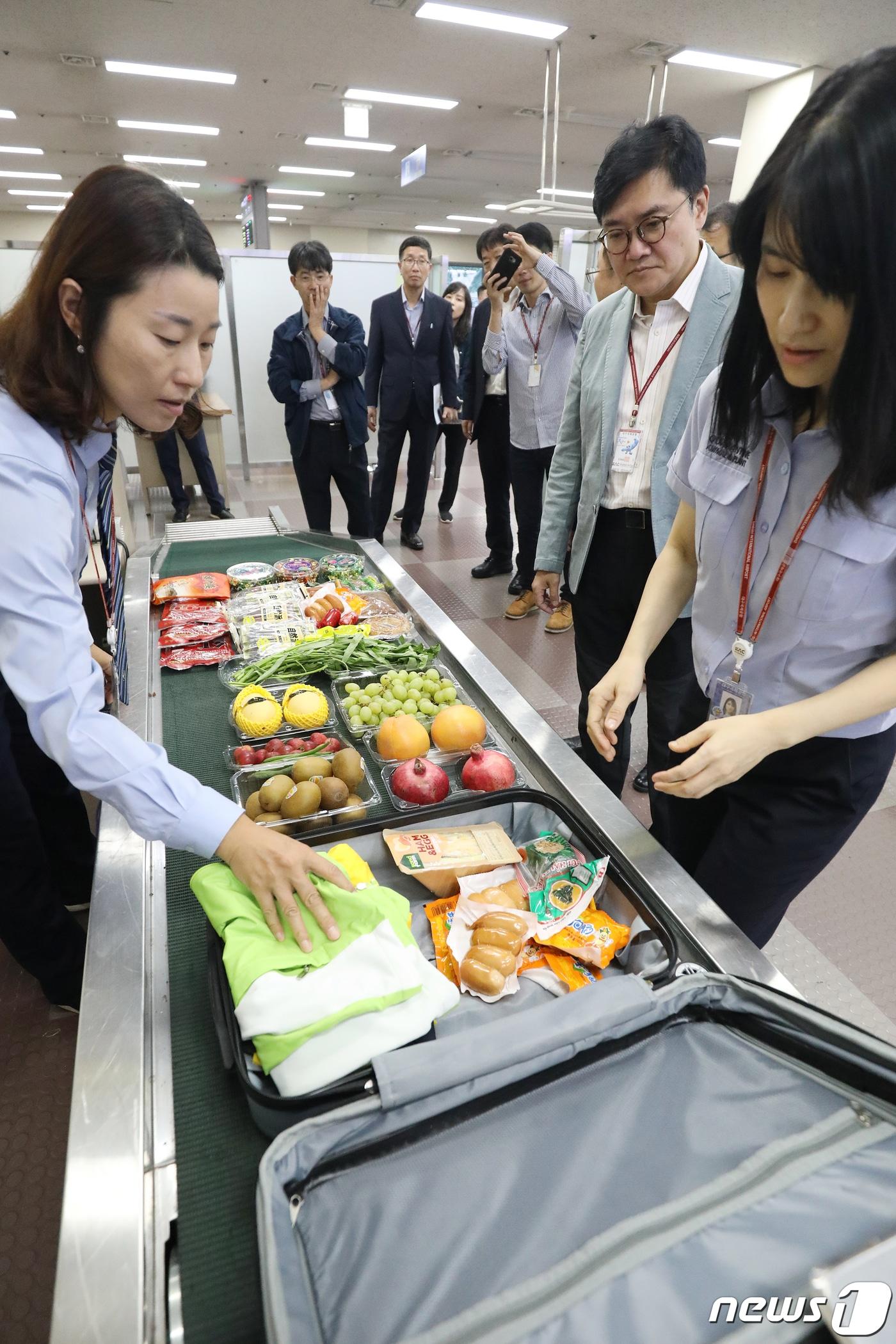 본문 이미지 - 15일 오후 대구국제공항 입국장 내 합동검색대에서 아프리카돼지열병(ASF) 유입을 막기 위해 배치된 농림축산검역본부 영남지역본부 검역요원들이 동·식·수산물 검역신고 절차에 대해 설명하기 위해 검색 과정을 시연하고 있다. . 2019.10.15/뉴스1 ⓒ News1 공정식 기자