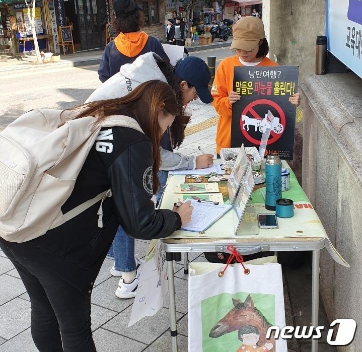본문 이미지 - 동물권단체 하이는 지난달 한양대학교에 이어 지난 16일 숙명여대 앞에서 말들의 고통을 끝내기 위한 '도로교통법 개정 촉구 서명' 캠페인을 진행했다. ⓒ 뉴스1