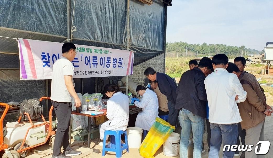 본문 이미지 - 전북 정읍시가 지역 내 양식장 현장에서 수산생물 질병으로 인한 피해를 예방하고 확산을 방지하기 위해 찾아가는 어류 이동병원을 운영했다. /ⓒ 뉴스1