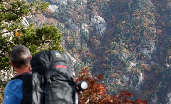 본문 이미지 - 강원도 설악산을 찾은 외국인 등산객이 불게 물들어가는 단풍을 감상하고 있다. ⓒ 뉴스1 