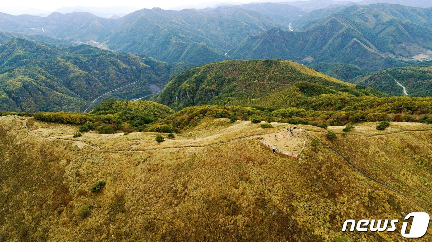 강원 정선군 남면 민둥산 자료 사진. (재판매 및 DB금지)  ⓒ News1