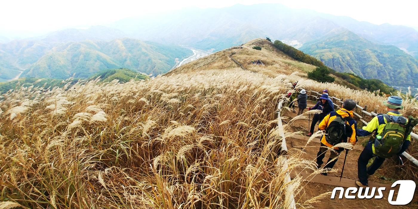 강원 정선군 남면 민둥산 자료 사진 ⓒ News1