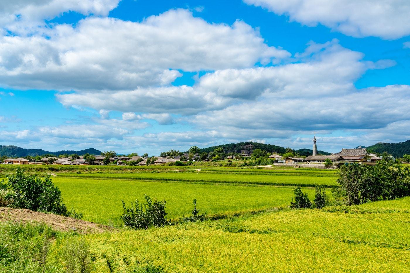 다양한 매력을 지닌 안동 류씨 집성촌, 안동 하회마을이 멀리 보인다