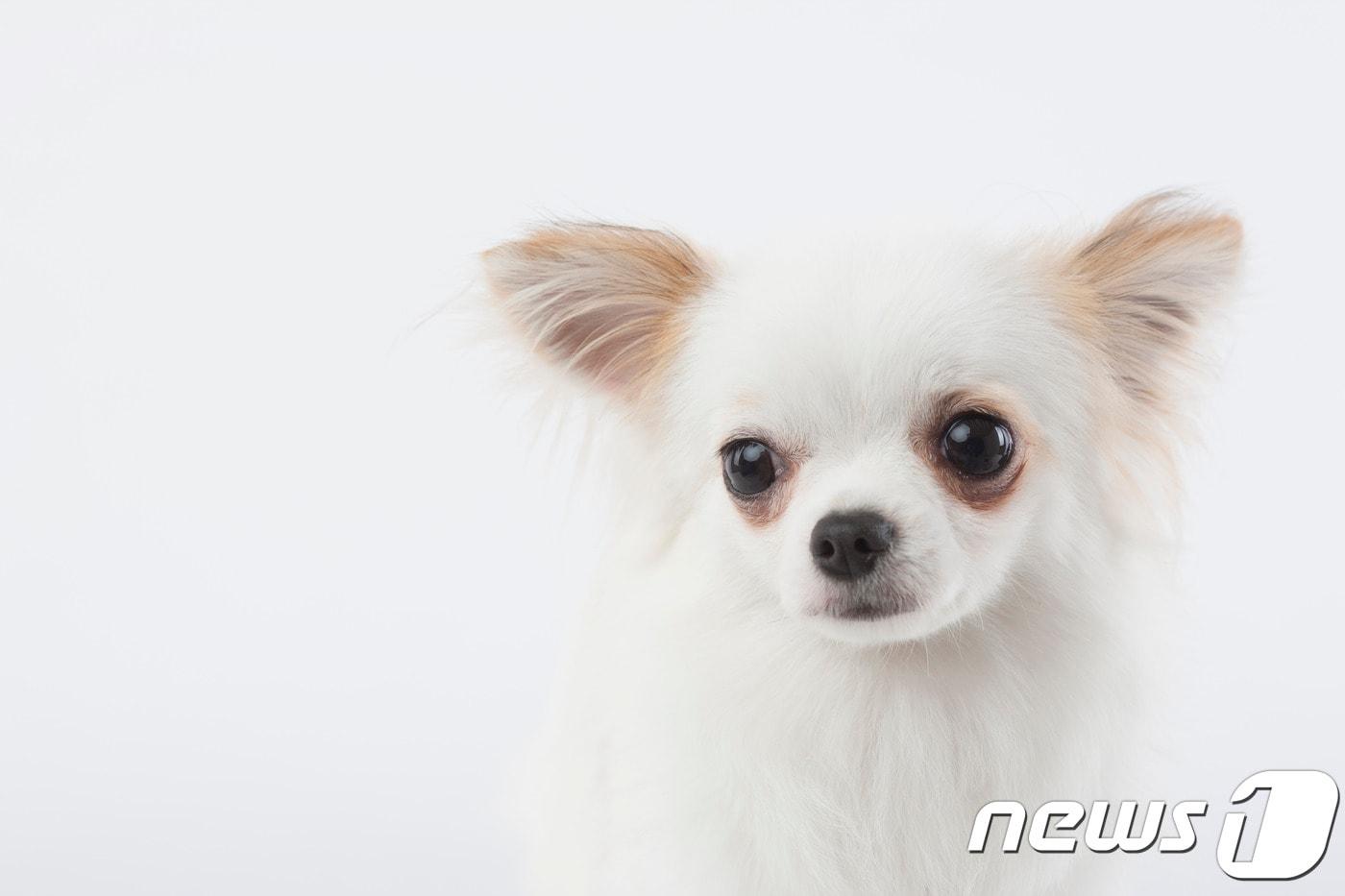 사진 이미지투데이 제공 ⓒ 뉴스1