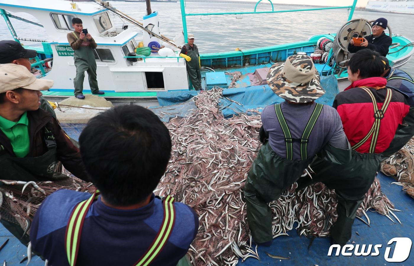 강원 속초항에서 양미리 조업 마치고 돌아오는 외국인 어업인 자료사진.(뉴스1 DB, 재판매 및 DB 금지)