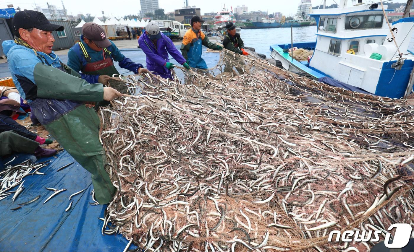 속초 양미리 조업 자료사진.(뉴스1 DB)