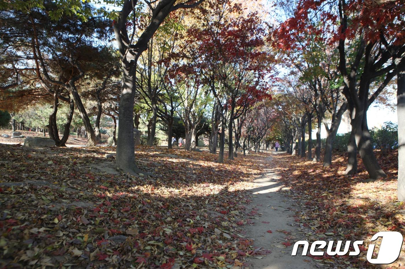 본문 이미지 - 뚝섬 '연인의 길' (서울시 제공) ⓒ 뉴스1