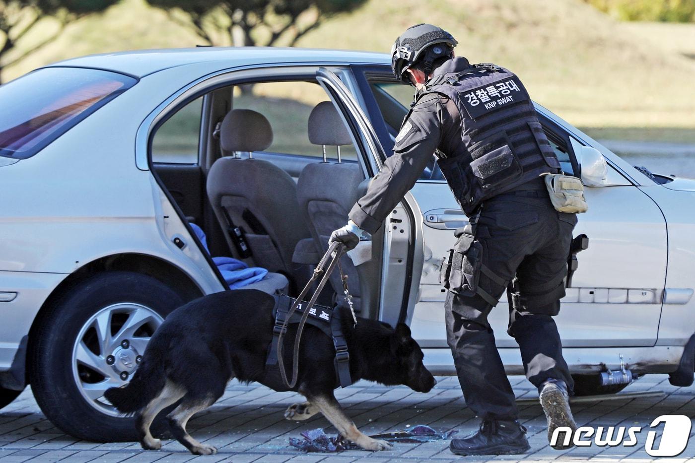 재난대응 안전한국훈련(뉴스1 DB)