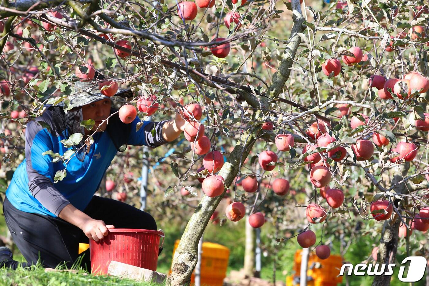 (사진은 기사 내용과 무관함) / 뉴스1 ⓒ News1뉴스1 ⓒ News1 