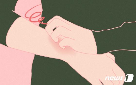 본문 이미지 - ⓒ News1 DB