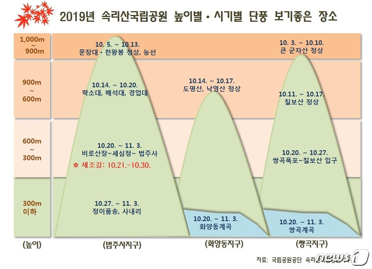 본문 이미지 - 2019년 속리산 단풍 그래프(속리산국립공원사무소 제공) ⓒ 뉴스1