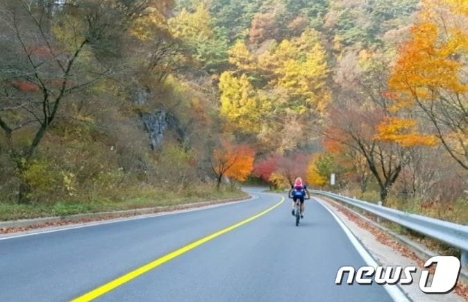 본문 이미지 - 단양 영천면 보발재에서 라이딩을 즐기는 자전거 동호인.ⓒ 뉴스1