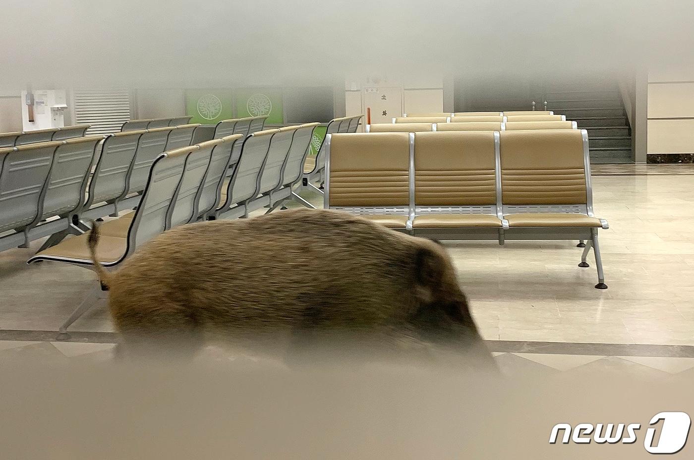 본문 이미지 - (사진은 기사 내용과 무관함) / 뉴스1 ⓒ News1