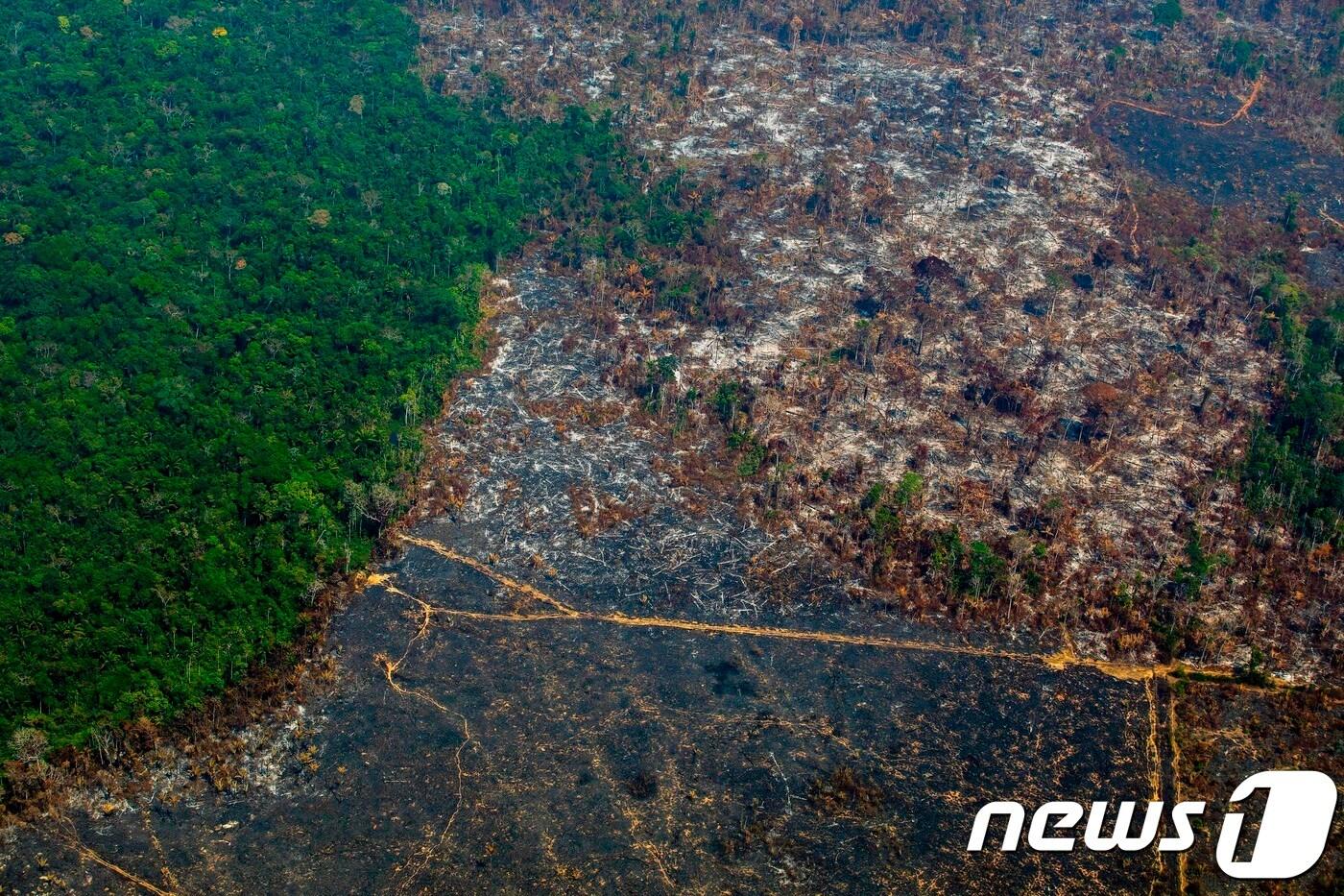 파괴된 아마존 열대 우림 ⓒ AFP=뉴스1