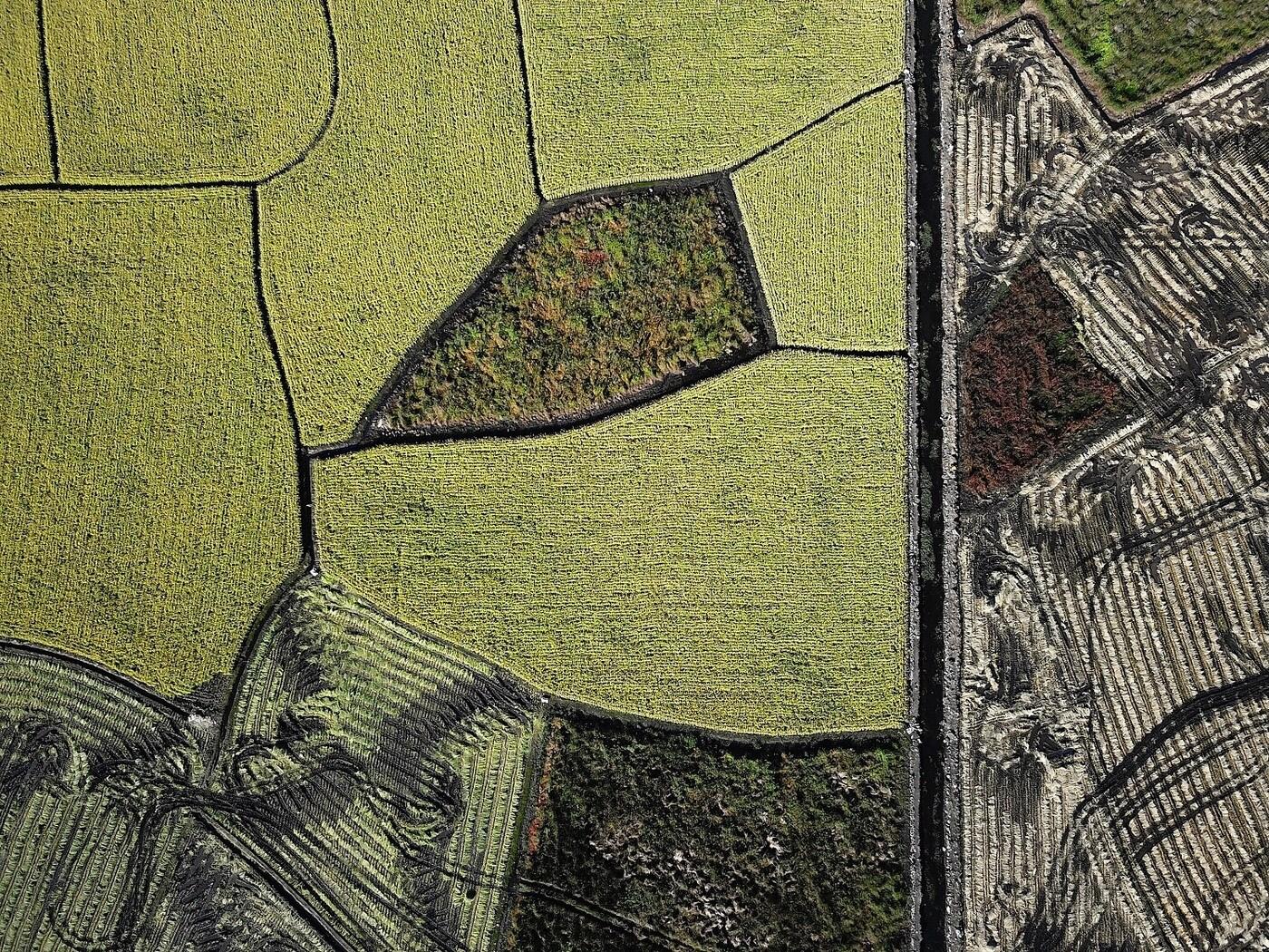 본문 이미지 - 금상작 '하논 추상'