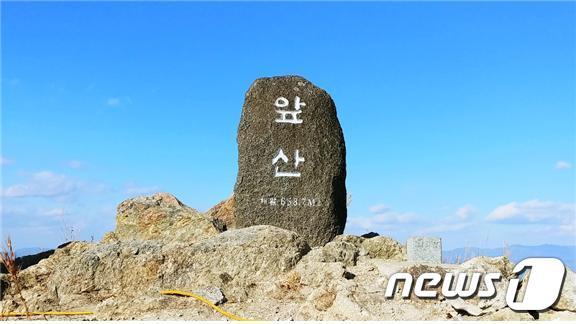 본문 이미지 - 대구 도심의 허파 역할을 하는 앞산 정상부(해발 658.7m)가 오는 12월 일반에 공개된다. 사진은 정상부 표지석. (대구시 제공) 2019.11.22ⓒ뉴스1