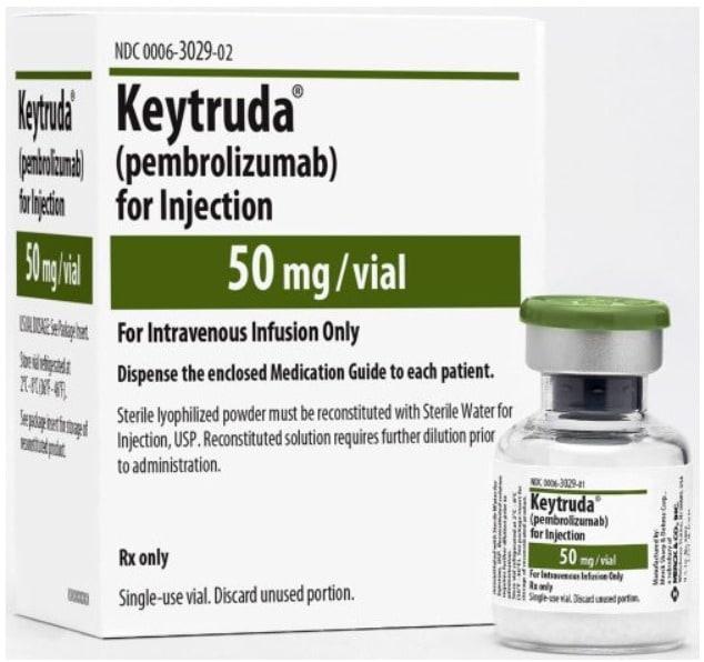 본문 이미지 - ⓒ 뉴스1