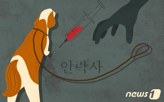 본문 이미지 - ⓒ News1 이지원 디자이너