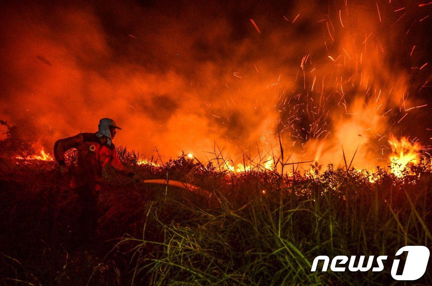 본문 이미지 - 지난 9월 인도네시아 리아우 지역에서 소방대원이 산불을 진압하고 있다. ⓒ AFP=뉴스1 ⓒ News1 박형기 기자