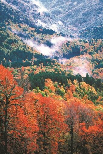 본문 이미지 - 단풍으로 물든 예디골레르 국립공원. 이하 터키문화관광부 제공
