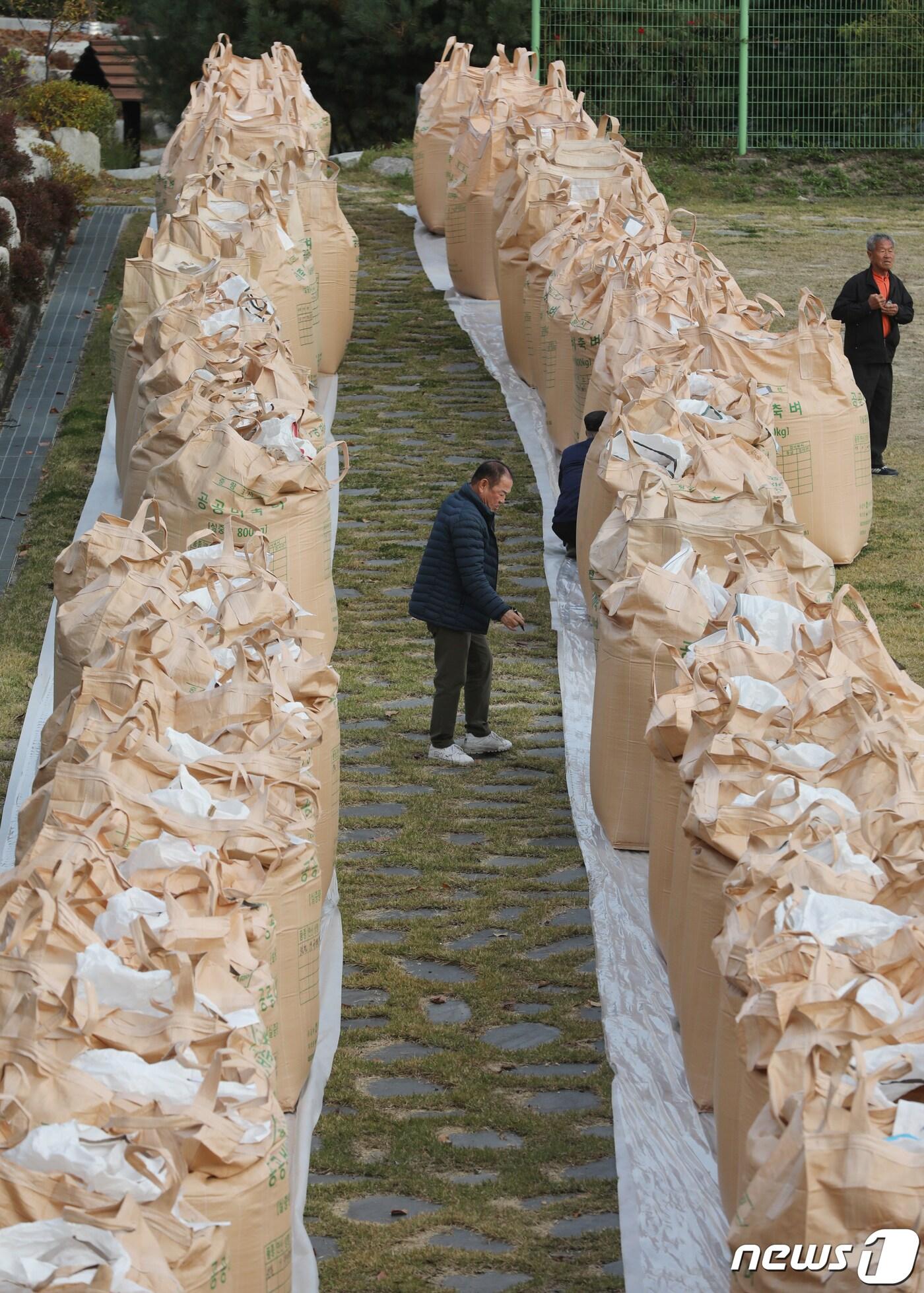 본문 이미지 - 공공비축미 수매.&#40;기사의 특정사실과 관련 없음&#41;/뉴스1 ⓒ News1