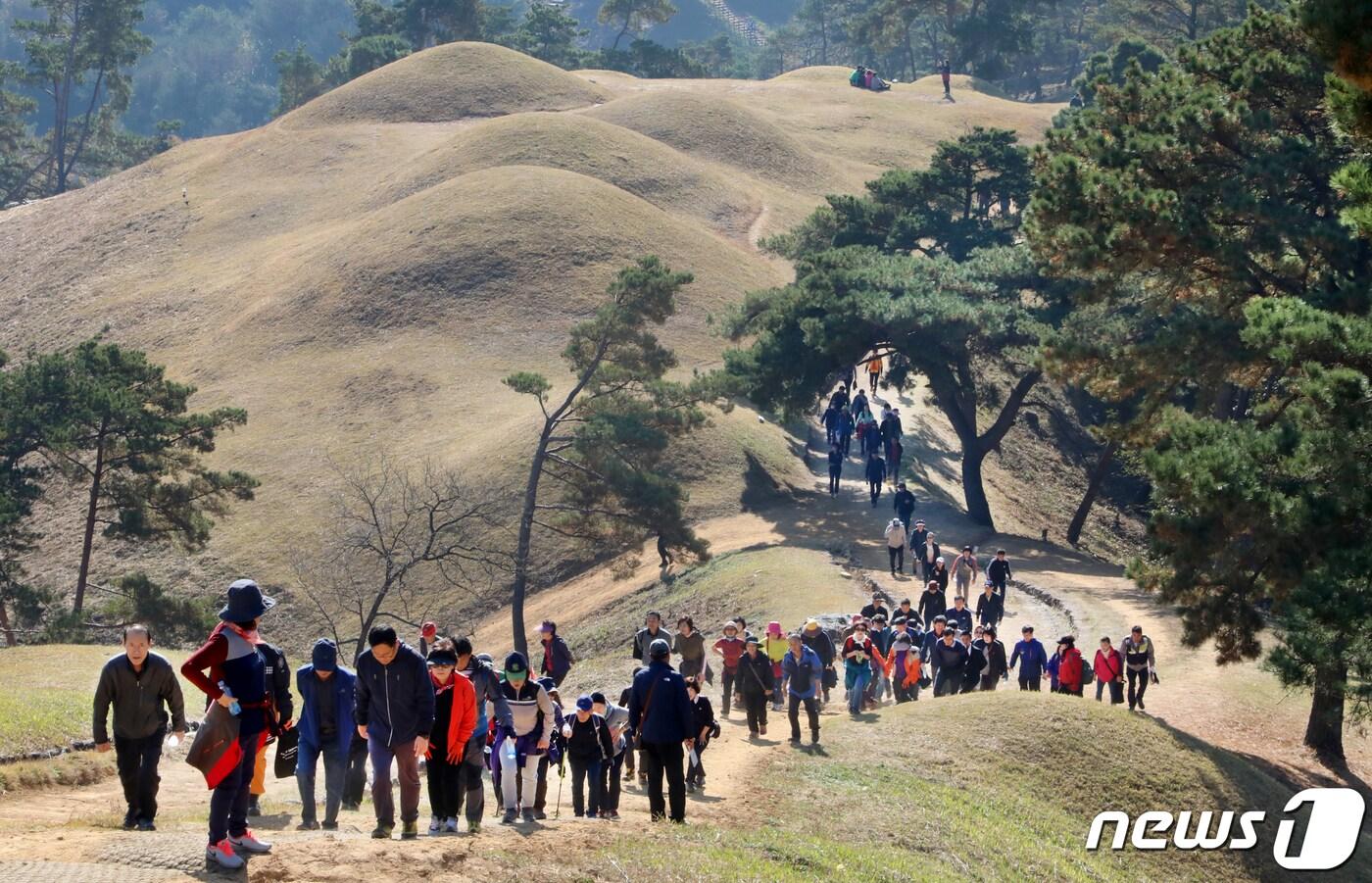 본문 이미지 - 9일 경북 고령군 대가야 고분군 일대에서 열린 '제9회 대가야 왕릉길 걷기대회'에 참여한 등산객들이 고분군 언덕을 오르고 있다. 2019.11.9/뉴스1 ⓒ News1 정우용 기자