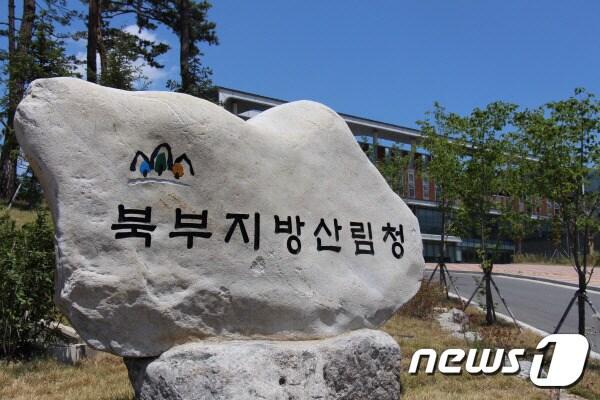 본문 이미지 - 북부지방산림청. (뉴스1 DB)