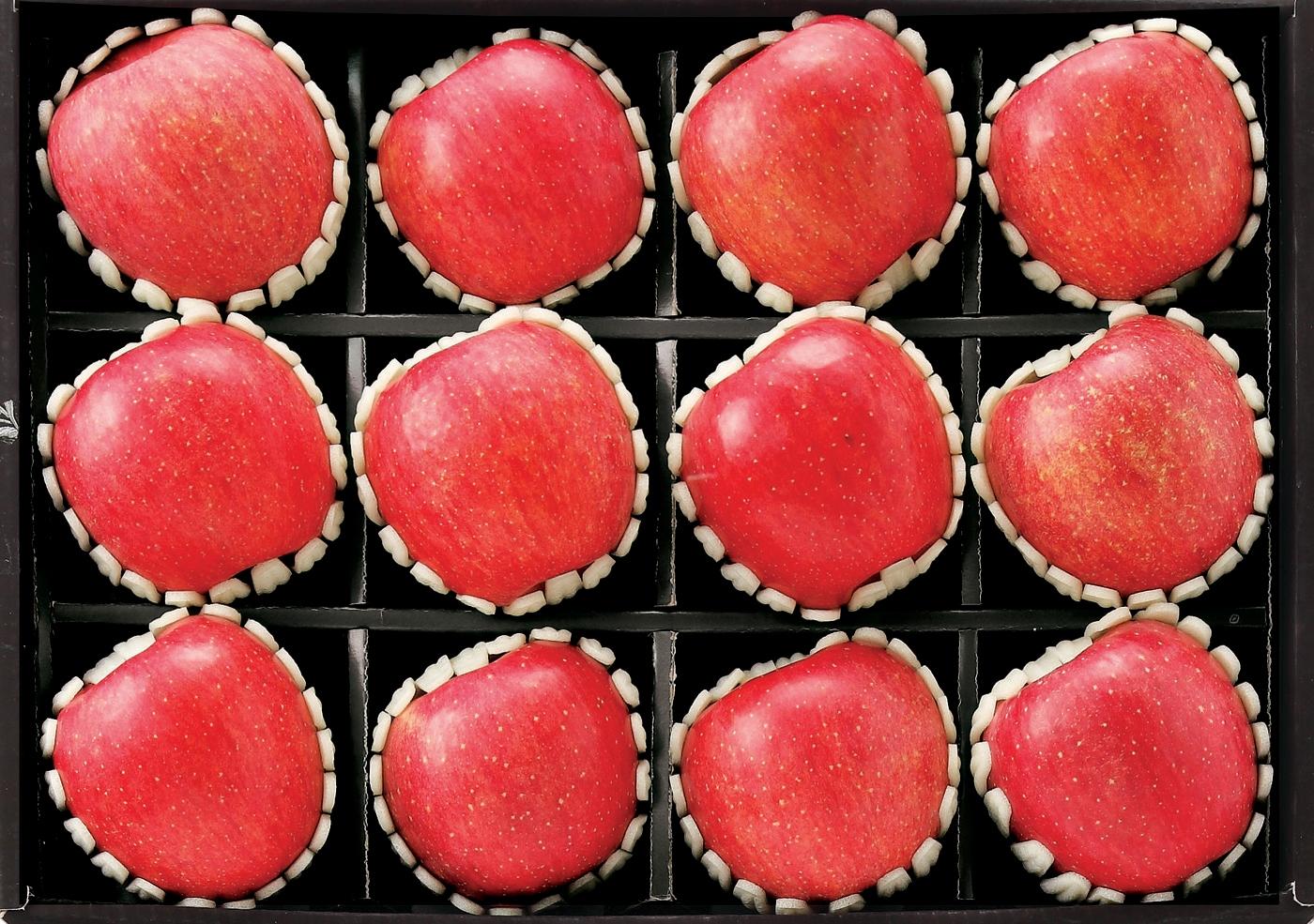 본문 이미지 - 유명산지 사과 VIP./ ⓒ 뉴스1