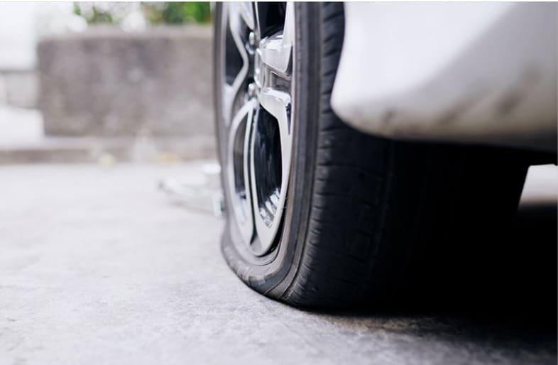 본문 이미지 -   자료=넥센타이어ⓒ 뉴스1