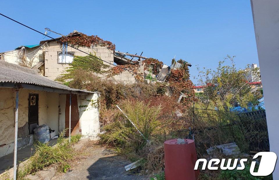 본문 이미지 - 속초시 소재 철거가 이뤄지지 않은 빈집&#40;속초시의회 제공&#41; ⓒ News1 고재교 기자