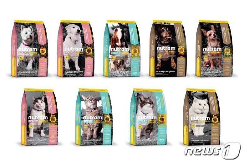 본문 이미지 - ⓒ 뉴스1