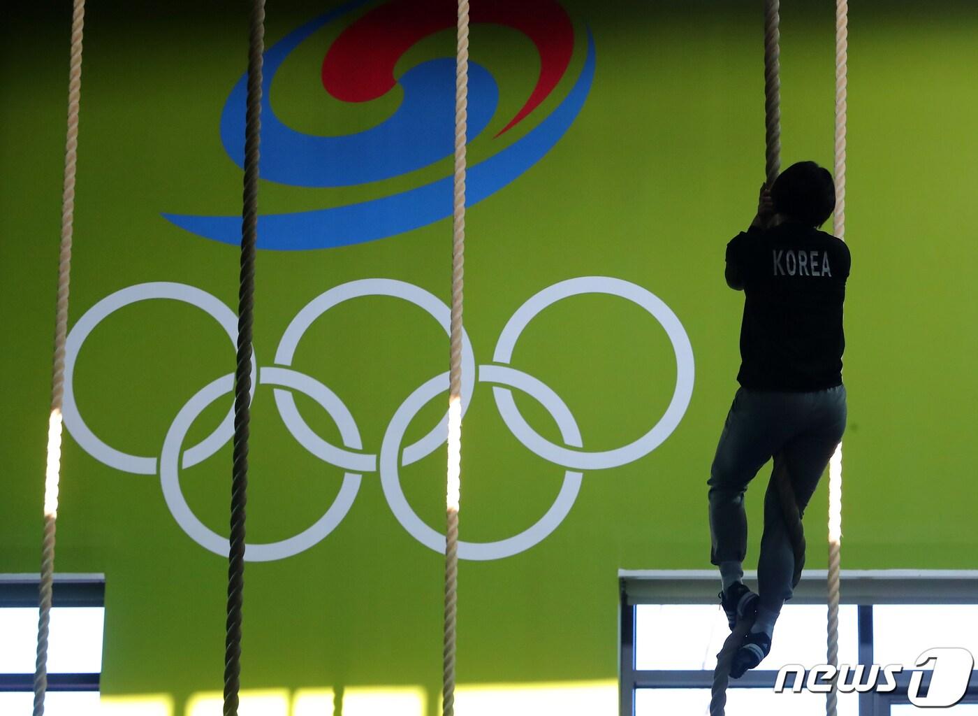 초유의 올림픽 연기, 선수들에게는 지난 4년보다 고될 향후 1년 - 뉴스1