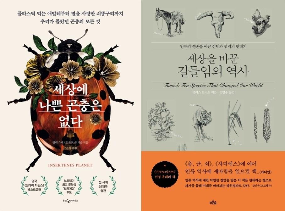 본문 이미지 - ⓒ 뉴스1