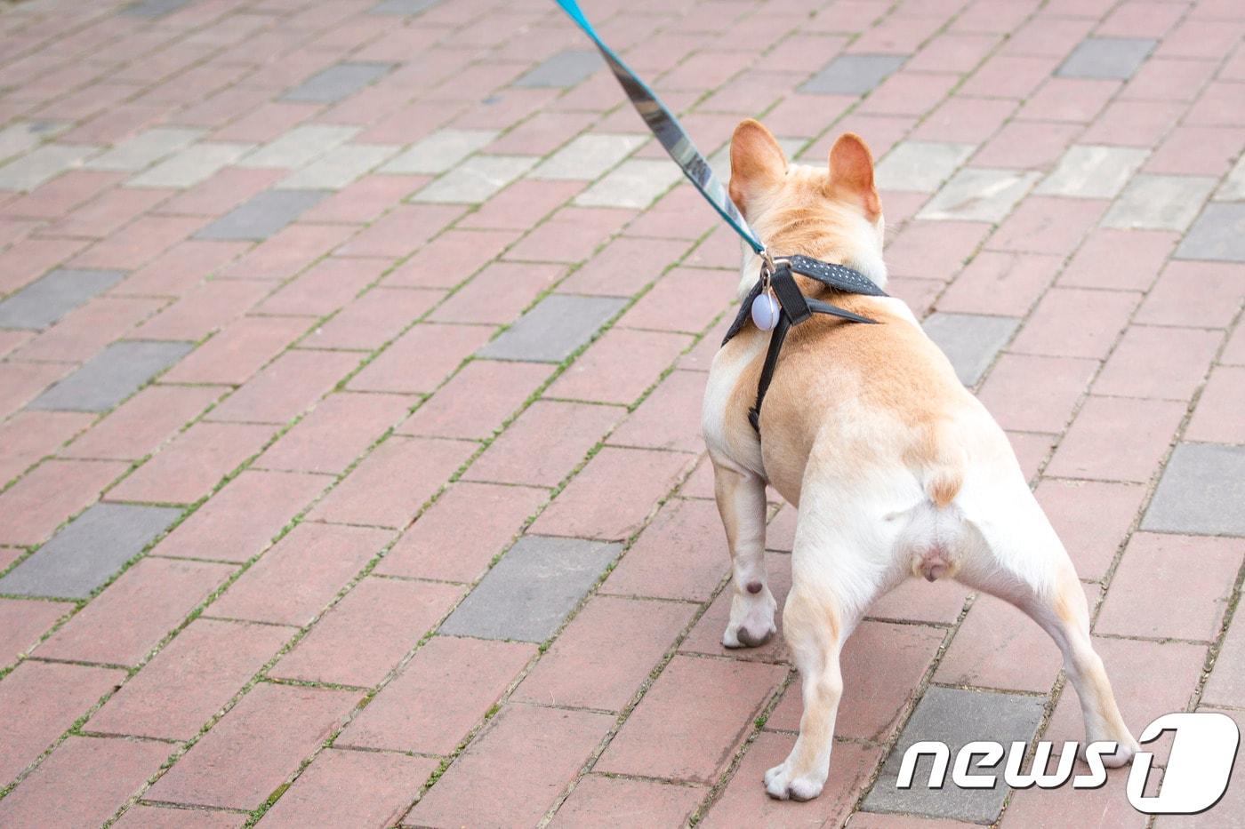 사진 이미지투데이 제공 ⓒ 뉴스1