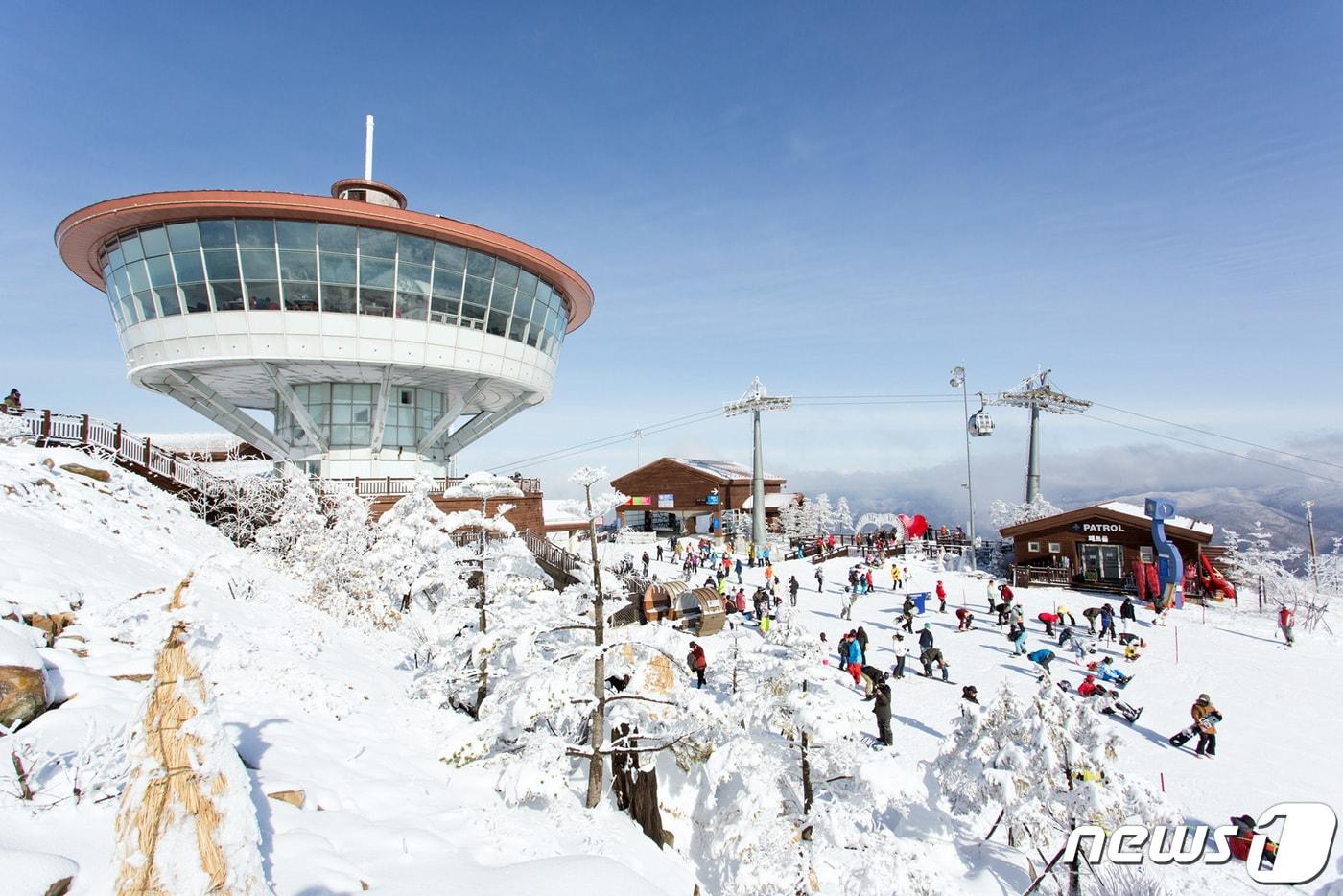 본문 이미지 - 강원랜드의 하이원리조트가 운영하는 스키장 자료사진 ⓒ News1