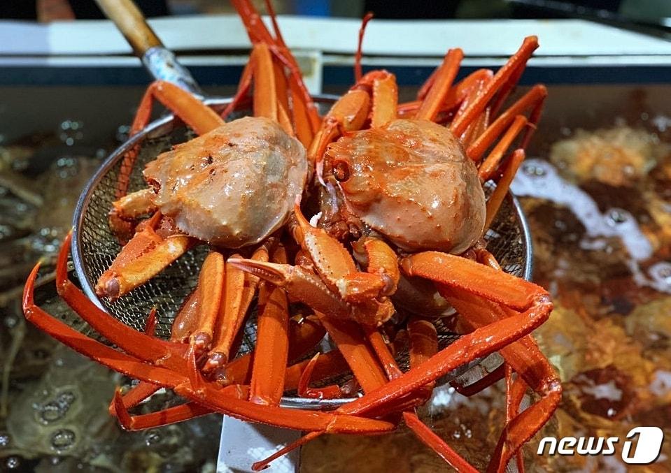 본문 이미지 - .ⓒ 뉴스1