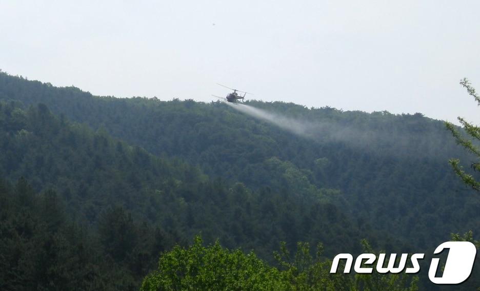 본문 이미지 - 소나무재선충병 피해고사목 누락 방지 항공예찰(북부산림청 제공). 사진과 기사내용 관련 없음. ⓒ 뉴스1