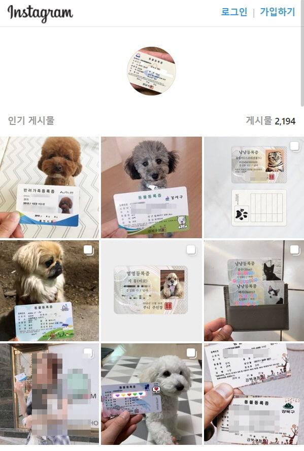 본문 이미지 - ⓒ 뉴스1