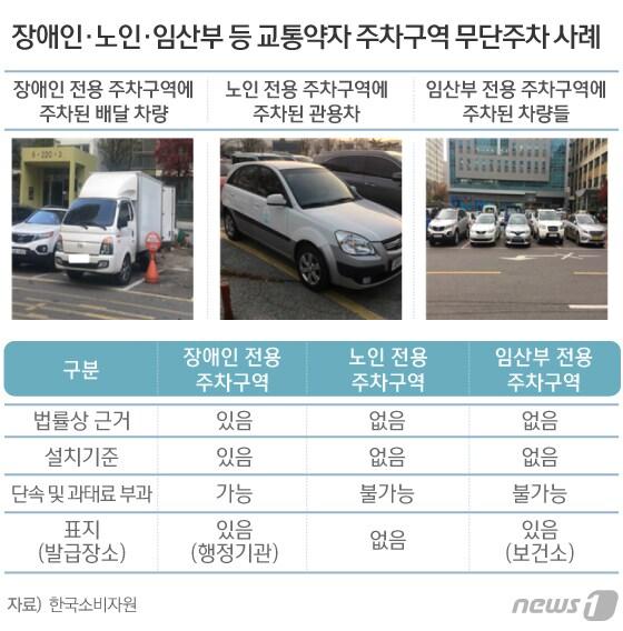본문 이미지 - ⓒ News1 이은현 디자이너