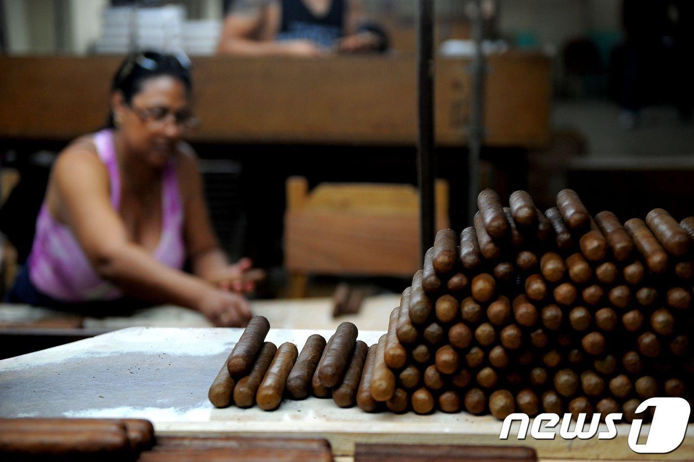 본문 이미지 - 쿠바의 시가ⓒ AFP=뉴스1