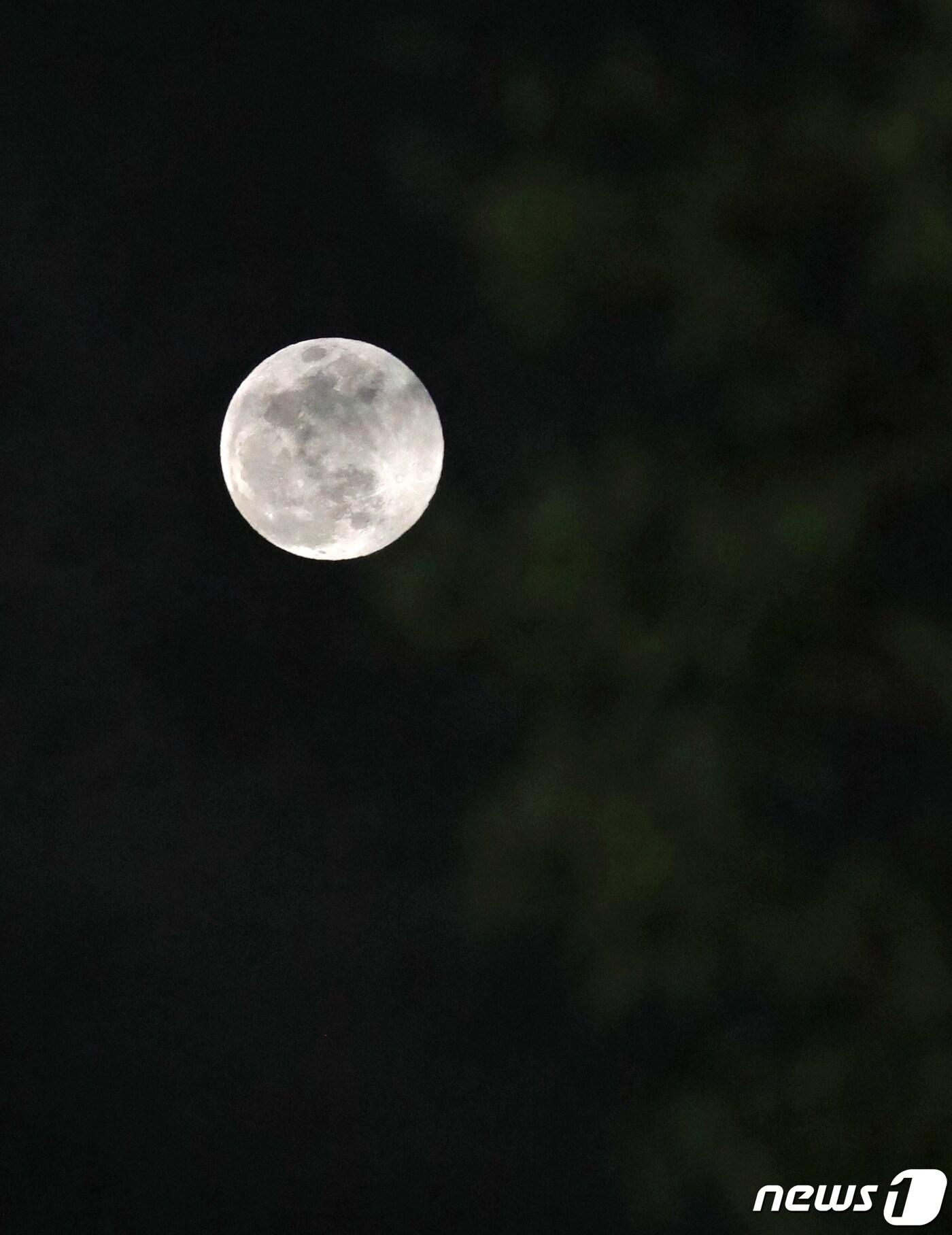 본문 이미지 - 전북 전주시 국립전주박물관에서 달집 뒤로 보름달이 모습을 보이고 있다.2019.2.19/뉴스1 ⓒ News1