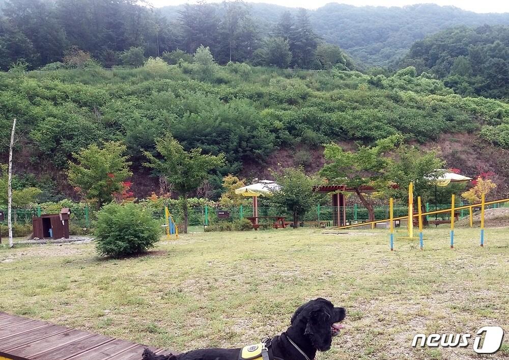 본문 이미지 - 덕평휴게소 '달려라코코' 전경. ⓒ 뉴스1