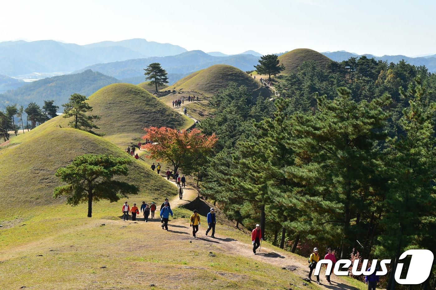 본문 이미지 - 고령 대가야 고분군 전경(고령군제공)/ⓒ 뉴스1